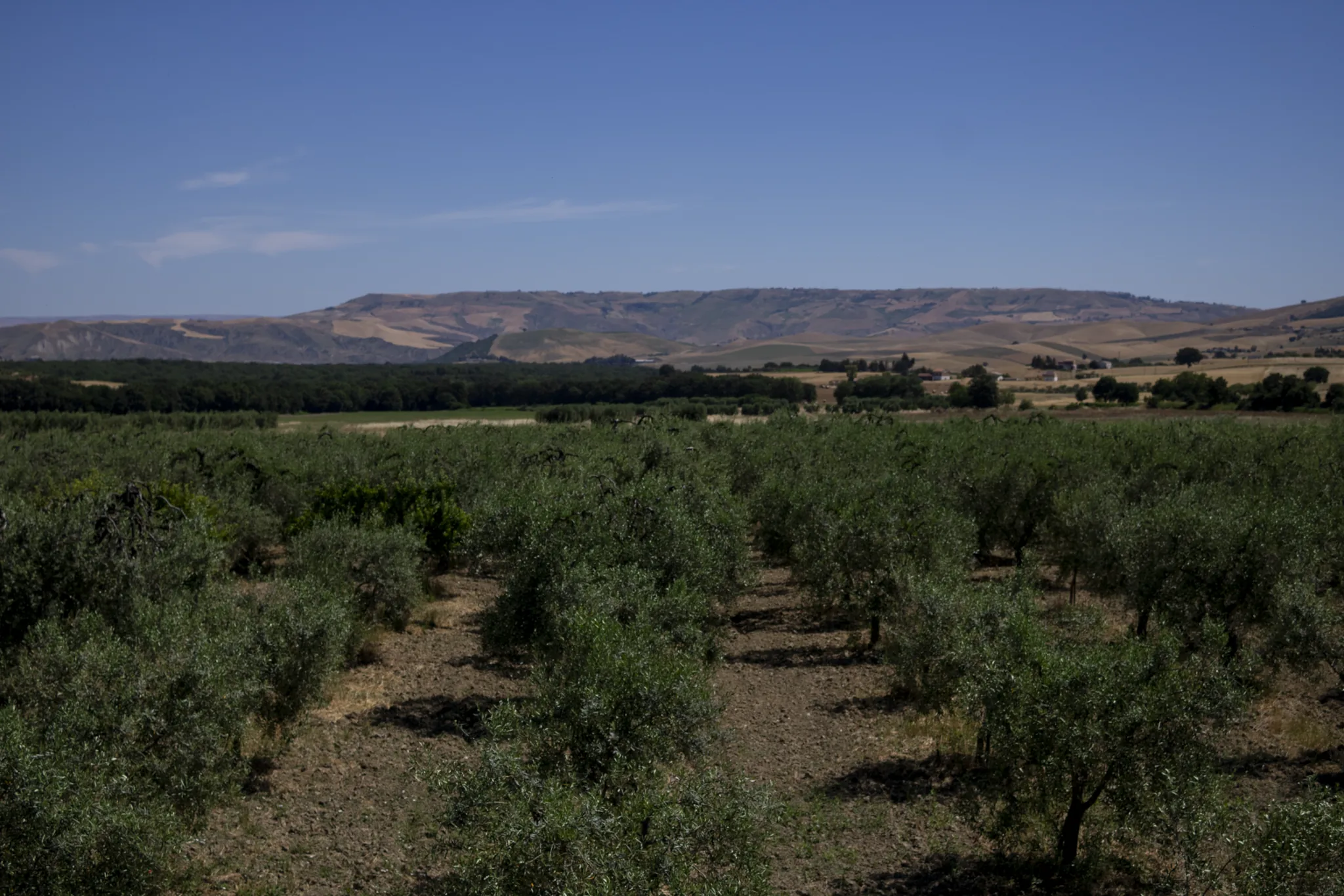 Le colline di Tricarico in Basilicata